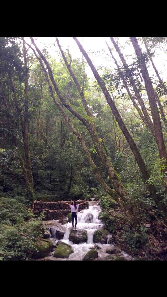 Santoshi23's tweet photo. Nature... Really soothes the eye and the heart.So,,,,Just fall in love with it💞💞Me,I have already😊😍😉 https://t.co/xVvHo1DnX1