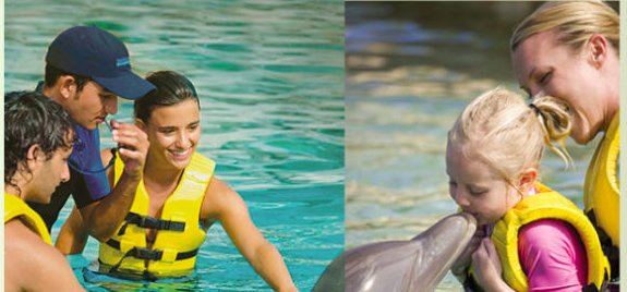 Dolphin_Project's tweet image. Captive dolphins in the desert is a form of bad education. ~ @RichardOBarry bit.ly/2aGt62x #DolphinProject