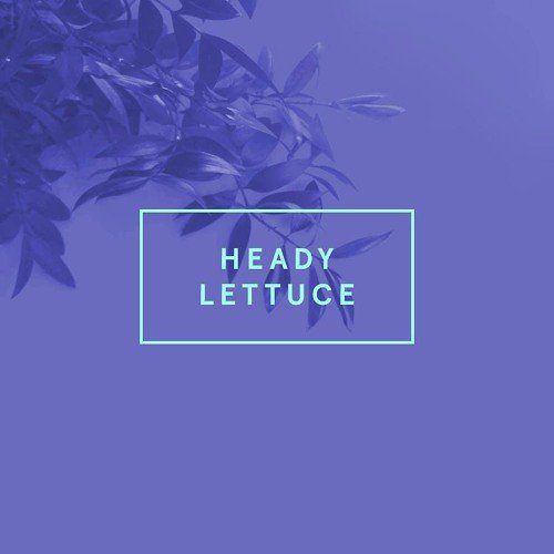 theMOCD1's tweet photo. Versace Lettuce presents "Heady Lettuce"
@Versace_Lettuce 
https://t.co/H7PpfVdZFz https://t.co/0rUeyePhOt