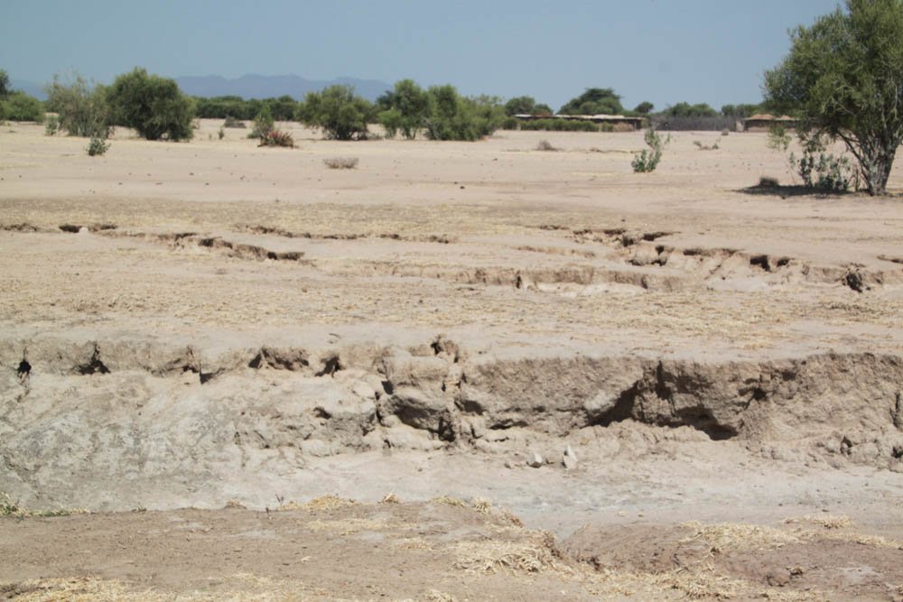 OkapiConsult's tweet photo. Photos from the field: gully erosion in semi-arid area of  #tanzania https://t.co/9p7usmeC7X
