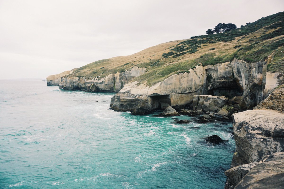 buonise's tweet photo. Tunnel Beach in Dunedin, New Zealand 🌏 https://t.co/I0ALWc8fz6