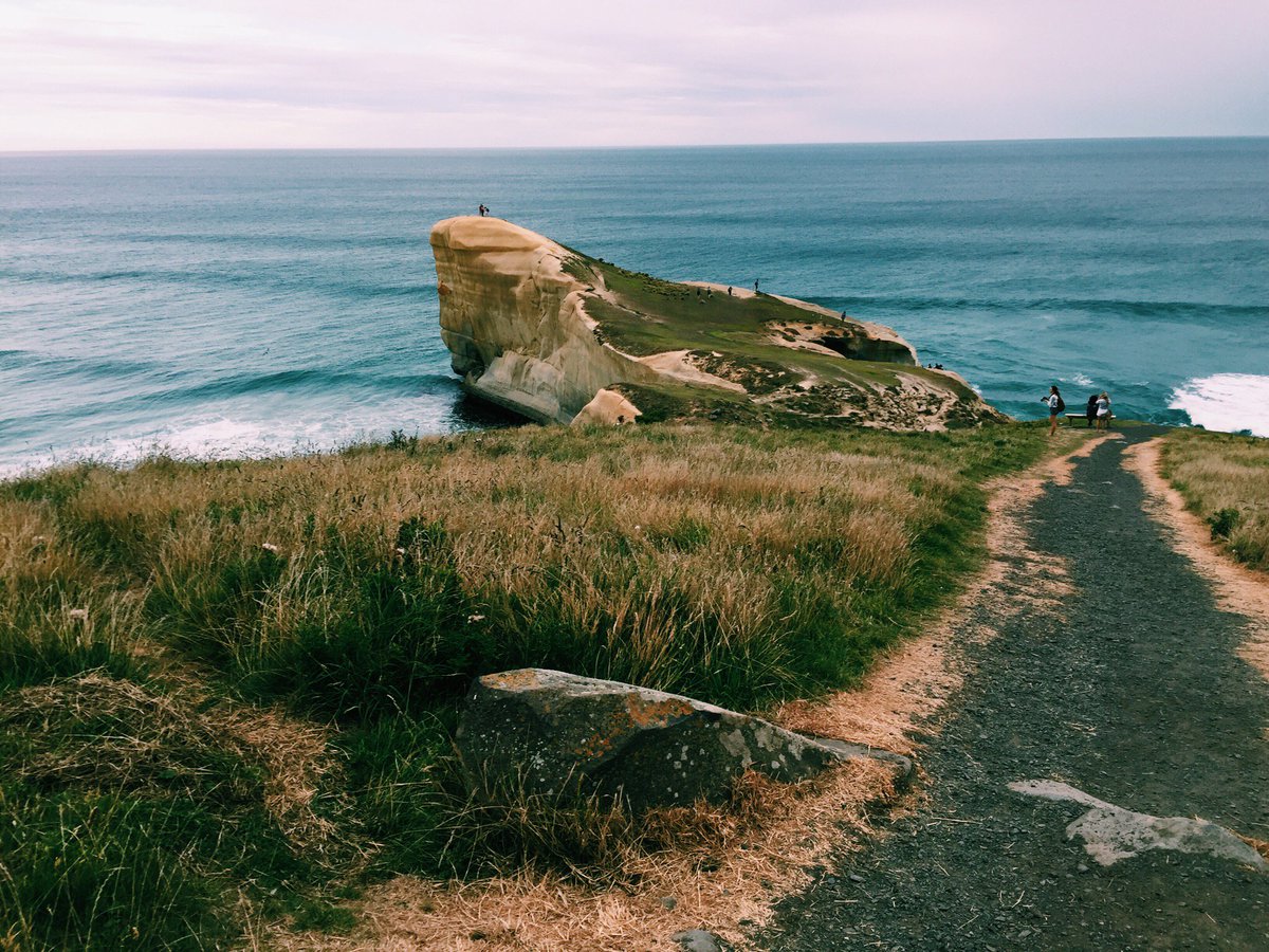 buonise's tweet photo. Tunnel Beach in Dunedin, New Zealand 🌏 https://t.co/I0ALWc8fz6
