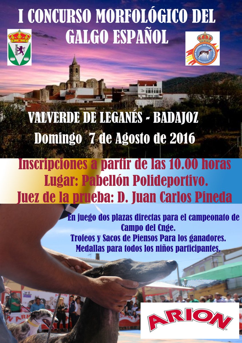 EL PRÓXIMO DOMINGO 7 DE AGOSTO EN VALVERDE DE LEGANÉS - BADAJOZ, TENDRÁ LUGAR UN MORFOLÓGICO DEL GALGO ESPAÑOL.