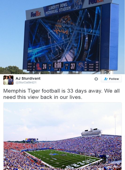 UofMPastPres's tweet photo. I agree it's a great picture @SturDaBird21 
Just needed to hit zoom to capture the back end zone. Much better now. https://t.co/mh5kY6O3Lt
