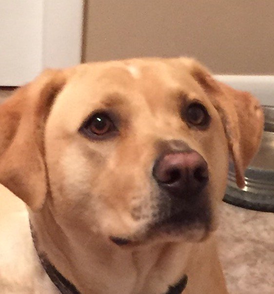 Keith Rager (@RagerKeith) | Twitter