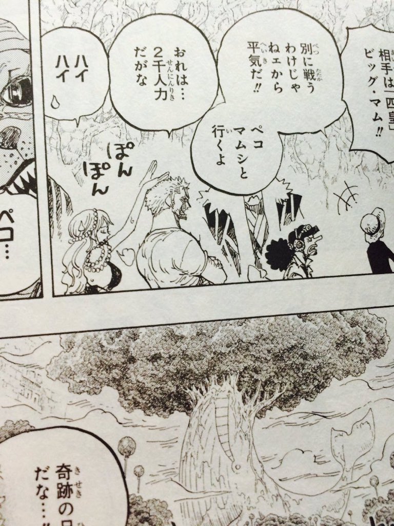 Fug Auf Twitter サンジにやきもちゾロさん やっぱ副船長としてもルフィには１番好かれていたいのかな