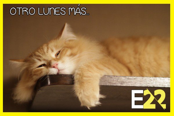 Estacion22's tweet photo. San lunes quien dice #estacion22 @Estacion22   #felizlunes https://t.co/VPfvpywakl