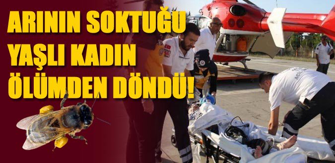 ARI SOKTU ÖLÜMDEN DÖNDÜ!
sinoppusulasi.com.tr/haber/ari-sokt…