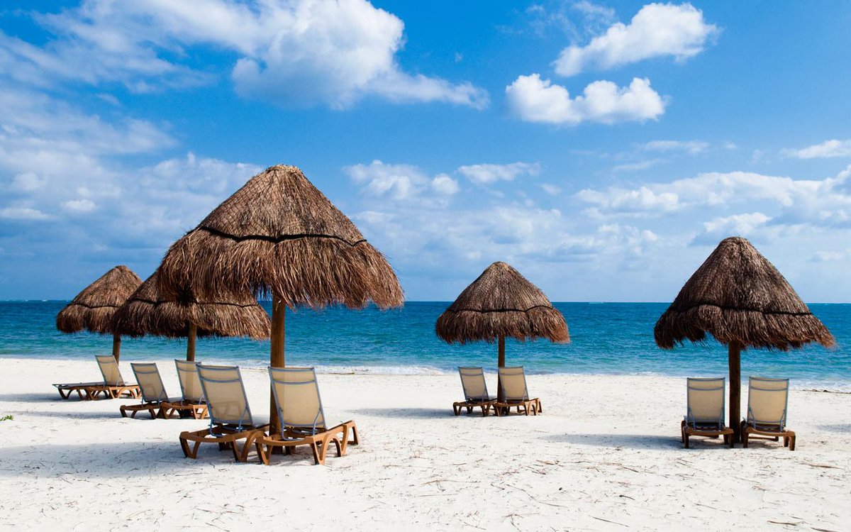 Travel & Pleasure tweet media