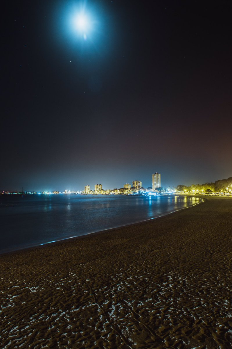 Christian_Ch8's tweet image. Dreams⛺️