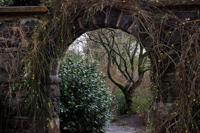 dasthetics's tweet image. "You have a rare and marvelous spirit.. In another world-.."
"Why not this one?"