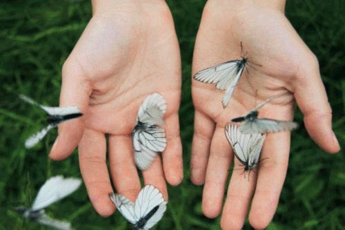 dasthetics's tweet image. "You have a rare and marvelous spirit.. In another world-.."
"Why not this one?"