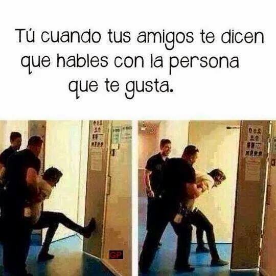 DavidSinHonda's tweet photo. #LunesDeGanarSeguidores https://t.co/PyguYvPblZ