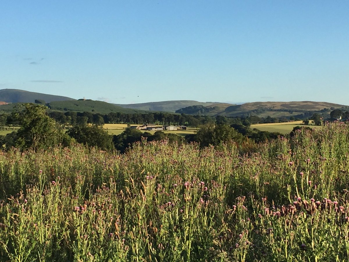 grousebeater62's tweet photo. @piptheparson August 1st @ 21:00 this evening #stunningnight https://t.co/cqUNUqmJmW