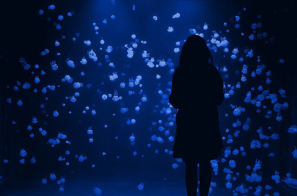 Yixing Aesthetic On Twitter He Was Like The Sky And Its