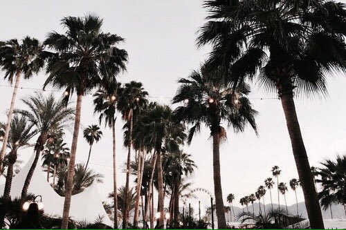 TheANNABABY's tweet photo. Lost
#twitterpack #pack #aesthetic #moodboard #golden #palm #summer #BellaHadid #fashion #modeling https://t.co/UthZ5DYYup