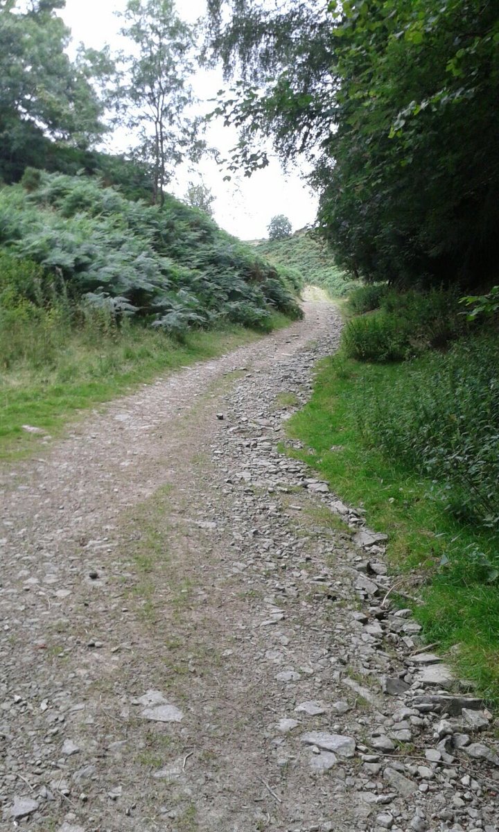 ColinsTrek's tweet photo. A couple of photos from today https://t.co/0xd9EmDY9H