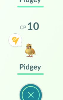 xtreme_yonkers's tweet photo. Back on @PokemonGoApp under weird circumstances. Good to see my best Pokémon has been holding strong since Friday https://t.co/E1JrWBpEYi