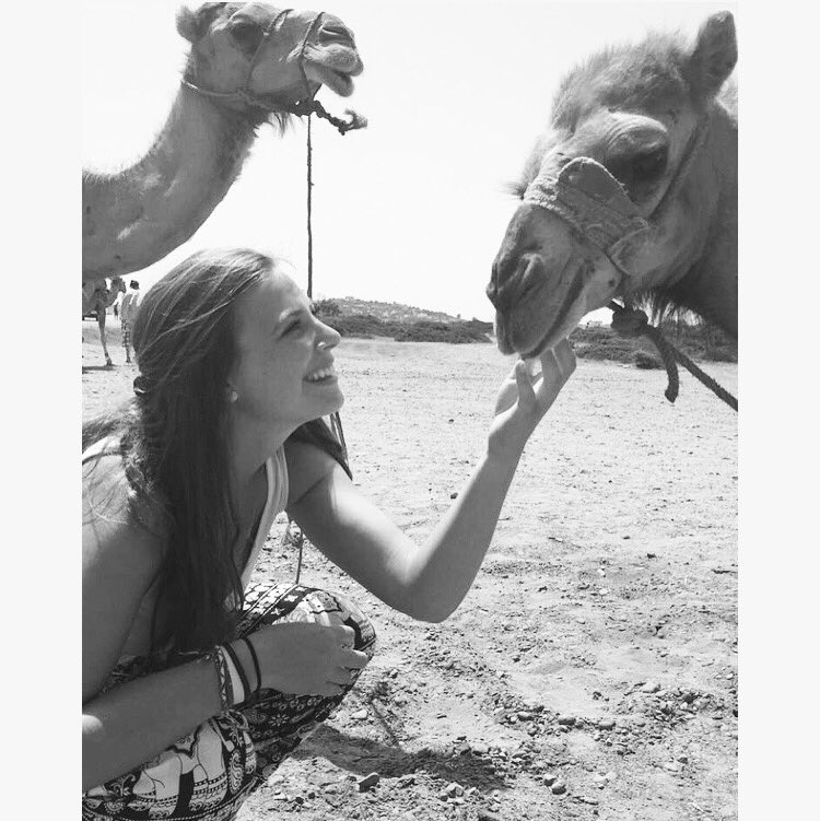 Smiller1132's tweet photo. 🐪🐪 https://t.co/cjbC8z5h5N