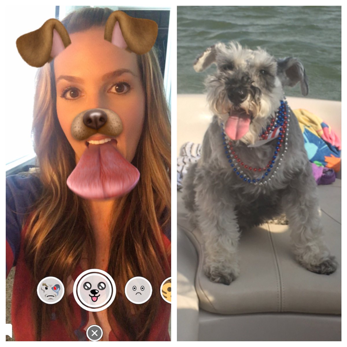 JennBlythe's tweet photo. Like mommy, like dogter. #loveher #twins #summer #mybaby #twinning #dogs #schnauzer https://t.co/Csh0r9qNOy