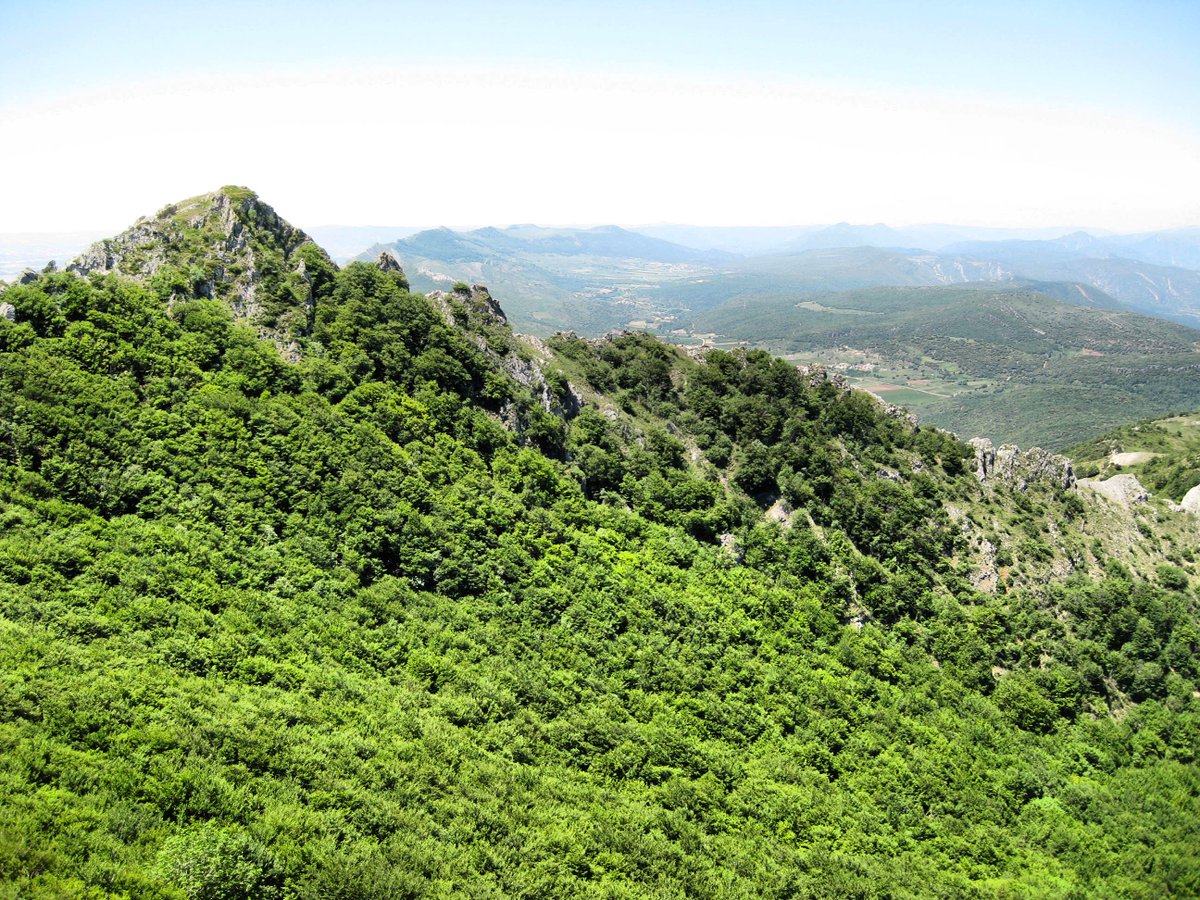 turismo_burgos tweet picture