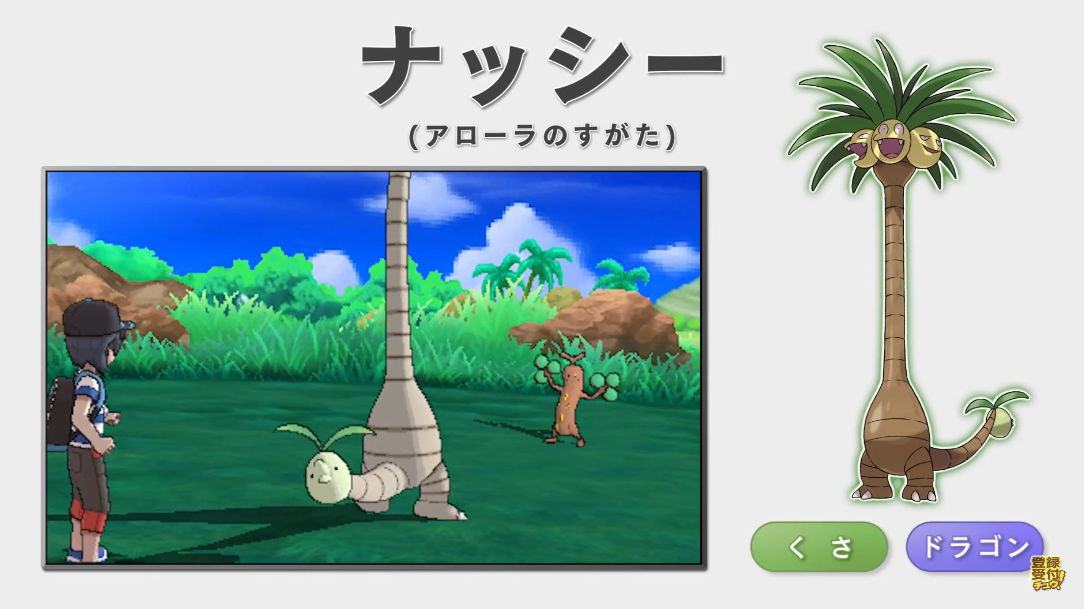 コクブカメラ 3回接種済 3dsの新作ポケモン ナッシー アローラのすがた がコラじゃなくて公式だったから爆笑してる 1年中強い日差しが降り注ぐアローラ地方の環境が姿の変化をもたらした T Co Rfgugvuafz 新作 今まで T Co
