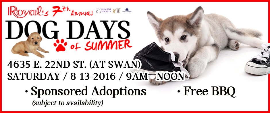 TucsonMINISvc's tweet photo. Please be sure to #donate new or used #dog #toys, #blankets or #unwrapped #treats @MINI_Of_Tucson https://t.co/3DJKgX868J