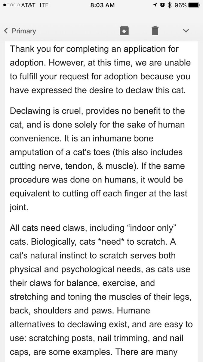 MadisonBrook13's tweet photo. Karly and I applied to adopt a cat and got turned down and yelled at all in the same email. https://t.co/1DXh1SjxUp