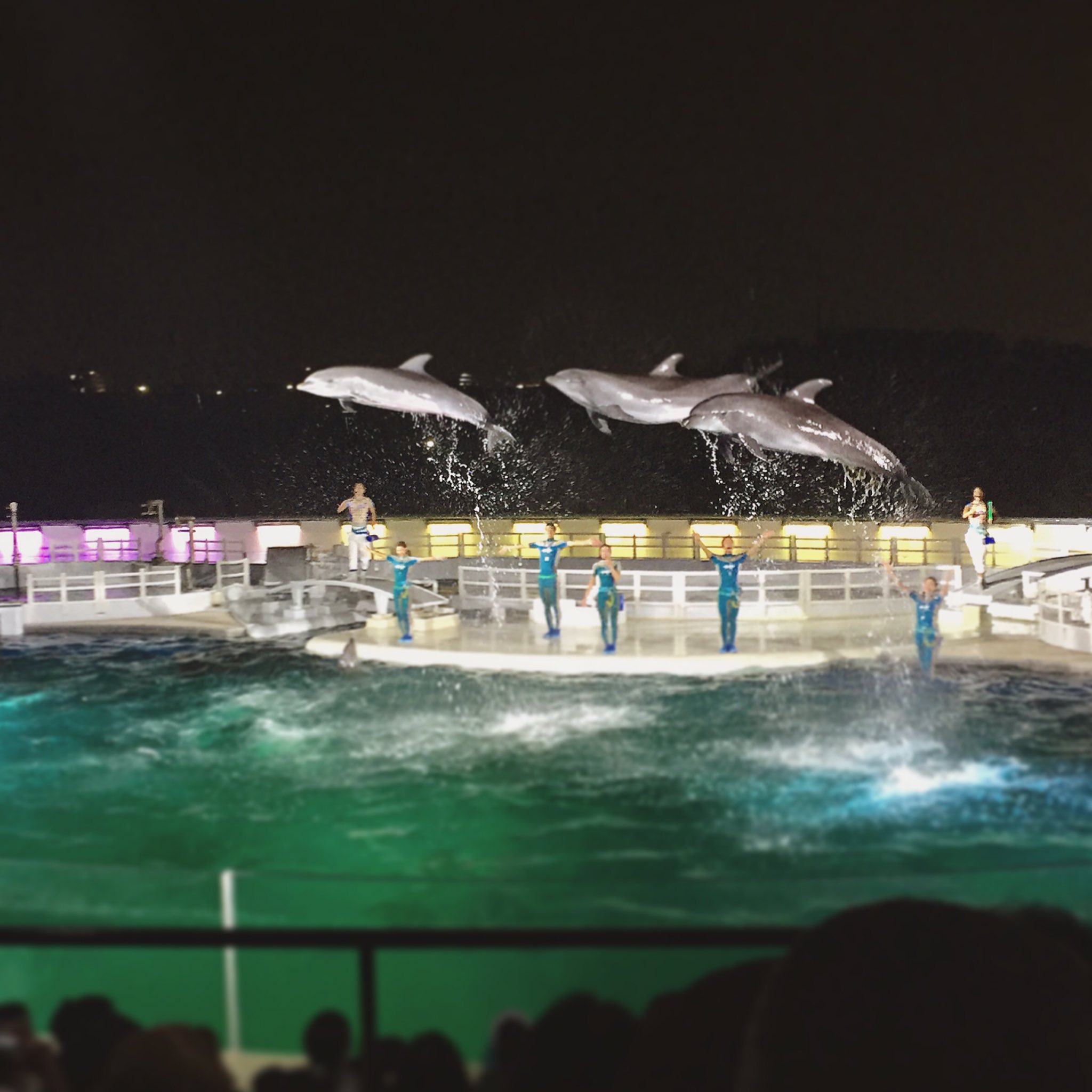 تويتر 関西ウォーカー編集部 على تويتر 京都水族館で開催中の 夏の夜のすいぞくかん ウォーターカーテンやイルミ 音楽で幻想的に彩られる夜限定のイルカショーは必見ですよー 関西ウォーカー最新号にも掲載しています 山田 T Co Rymsonhtcd