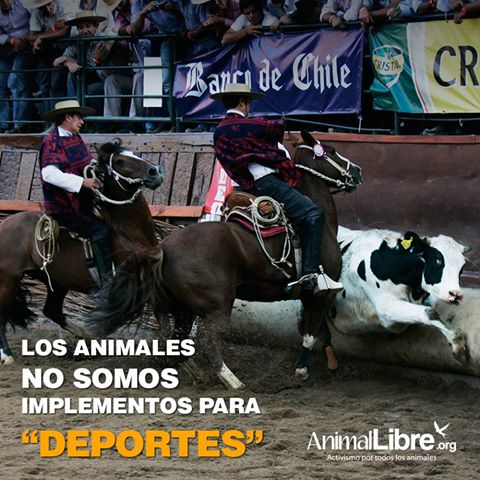 Animal_Libre's tweet photo. ¿Qué deportivo esta actividad? Nosotros tenemos nuestra postura y te invitamos a sumarte: https://t.co/0T6lzcbass https://t.co/PjknyReFqo