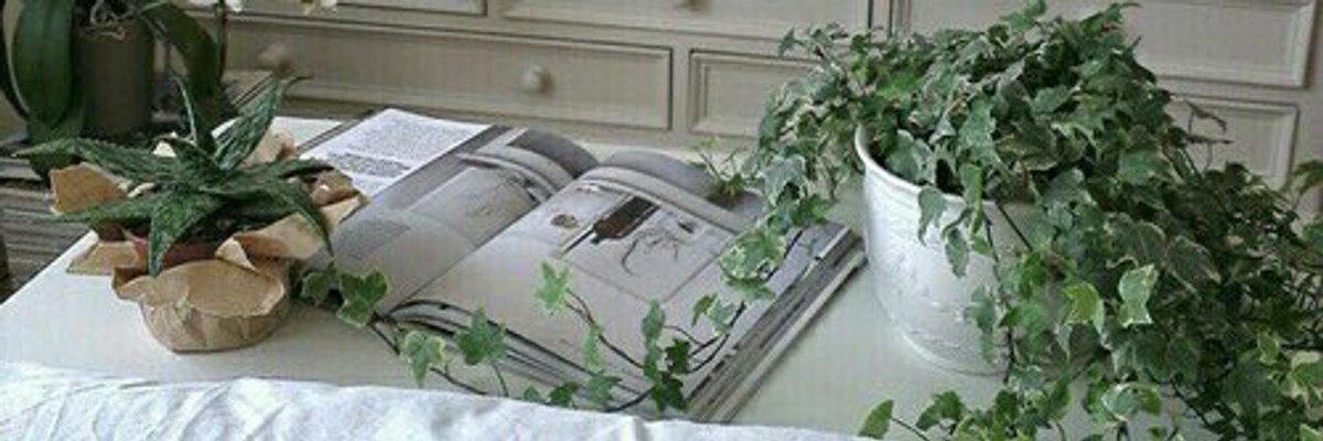 _testlayout's tweet image. 