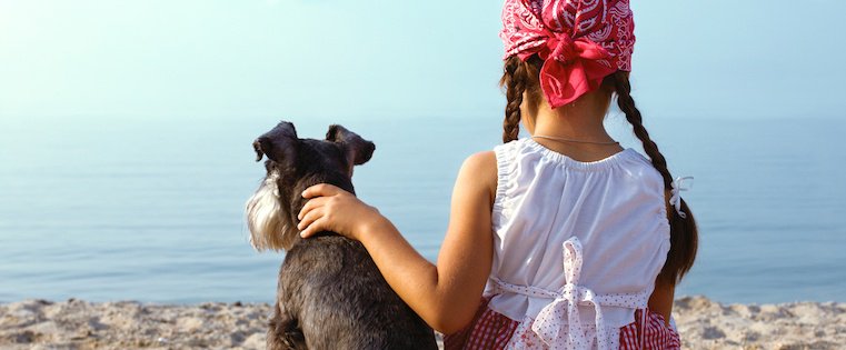 CodeMidas's tweet photo. A Simple Guide to Building a Successful Loyalty Rewards Program [Infographic] https://t.co/aaDXK9EPim https://t.co/aoqqTwYThE