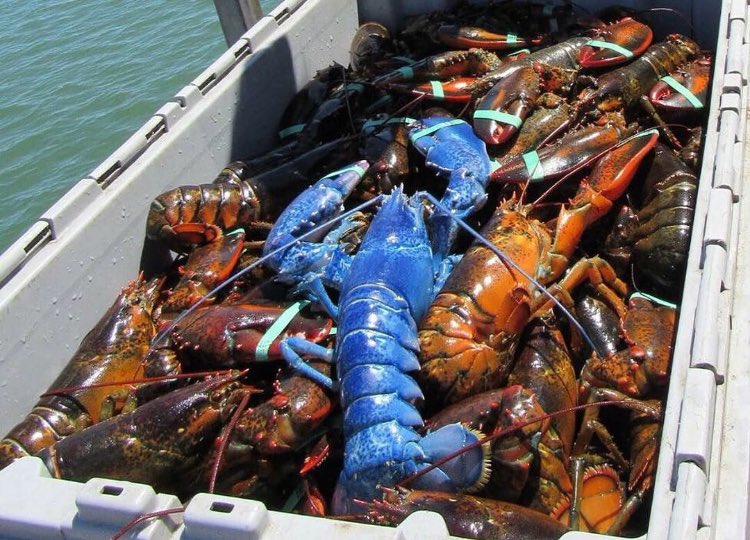 Stix & Stones® tweet media