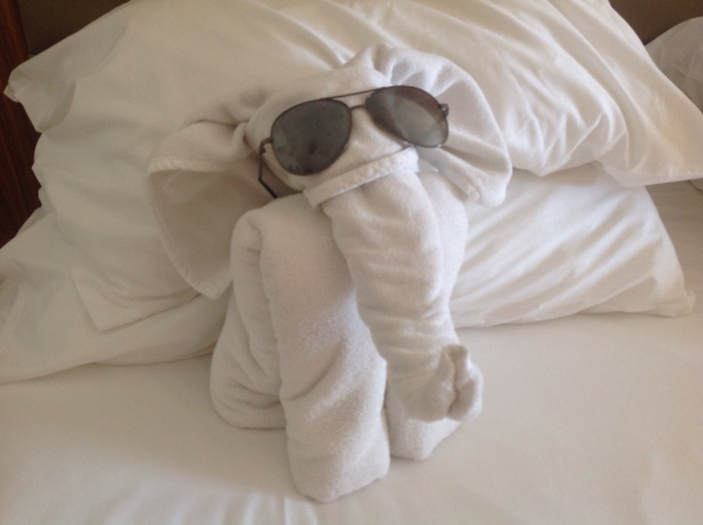 hootie203's tweet photo. Good morning from #Turkey #SentidoPerissia ❤️❤️ https://t.co/IR7WgZz2sg
