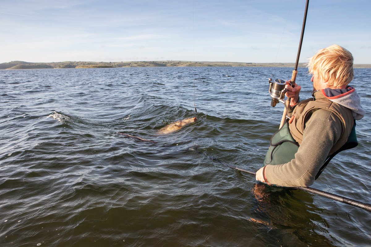They left their jobs, sold their cars and headed into the wilderness! po.st/CarpGypsies
