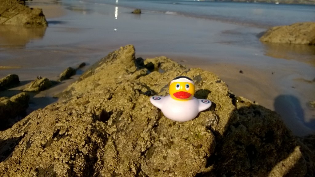 Airforce_duck's tweet photo. Chilling by the beach https://t.co/MAxmyhUrTO
