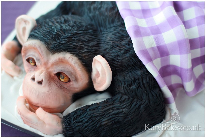 Amazing class last week with @cakeillusionist total cuteness in cake. #babychimp #cake #enfield