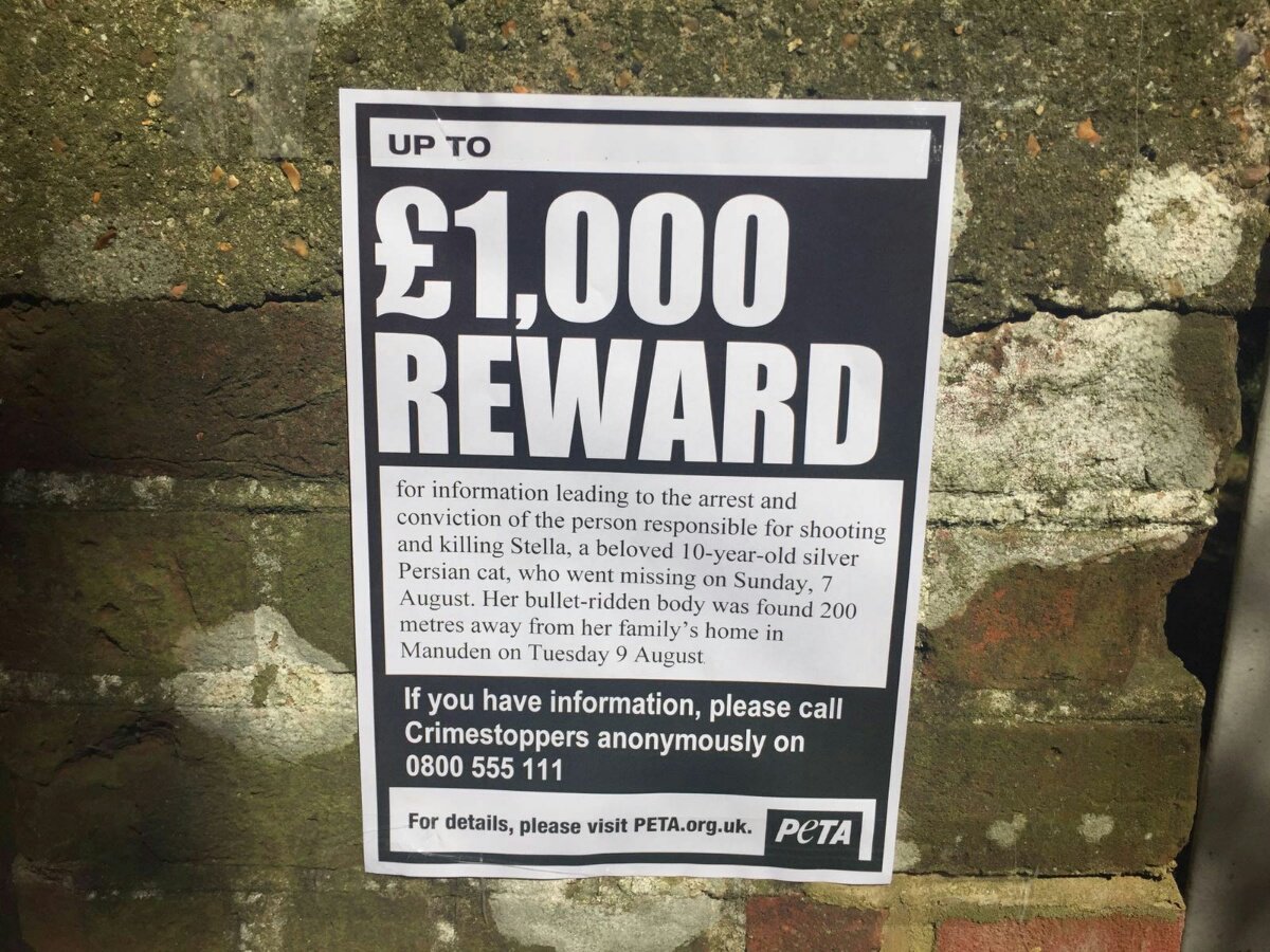 We've put up reward posters in Essex to help catch someone who shot a cat at point-blank range. 
Please SHARE.