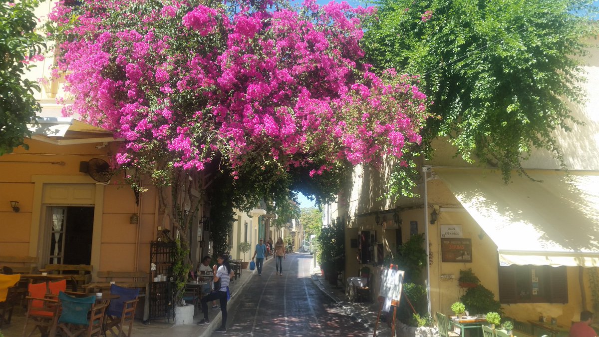 thanos🇬🇷 tweet media