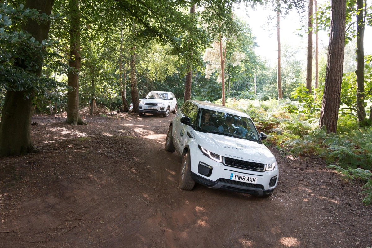 David Williams tweet media