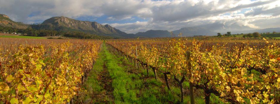 veritasawards's tweet photo. #Paarl Wine Route is the second oldest in the country! - https://t.co/XCLbeODuHq #wine #CapeWinelands #SouthAfrica https://t.co/XSimbIcE5M
