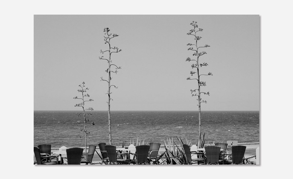 jrdelalamo's tweet photo. #DanielShea's personal #travel #diary captures #Havana's natural surrounds https://t.co/F89ZruiBbI #photography https://t.co/iydDH8dqYF