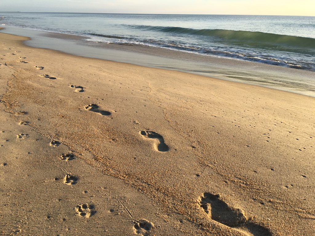 DuckOBX's tweet photo. Will you walk to Yoga w/@villageyogaobx on the Green via the boardwalk, road or beach? Tues. &amp; Fitness Wed. 7:30a https://t.co/ZC6EWYbXAu