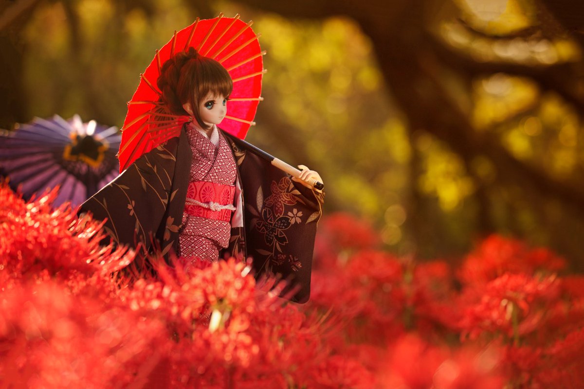 Японка вдова. Девушка с красным зонтом. Осенняя японка. Кукла японка с зонтом. Зонтик красивый японский.
