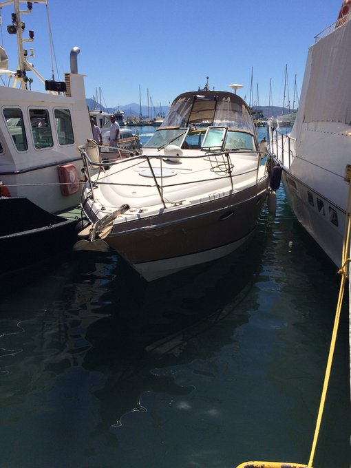 View image on Twitter