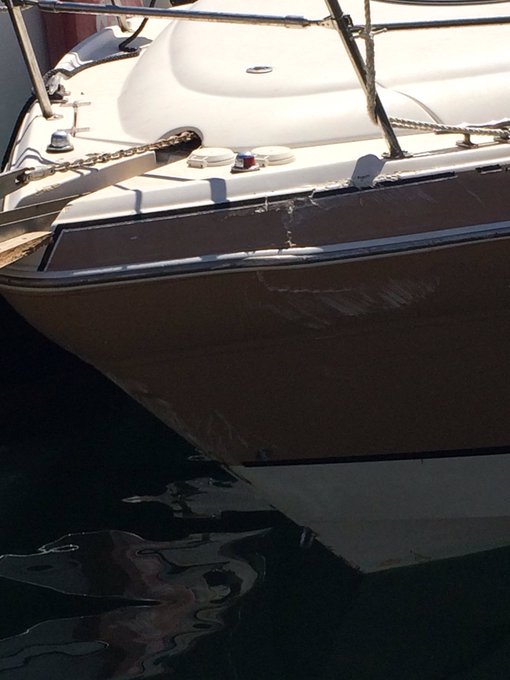 View image on Twitter