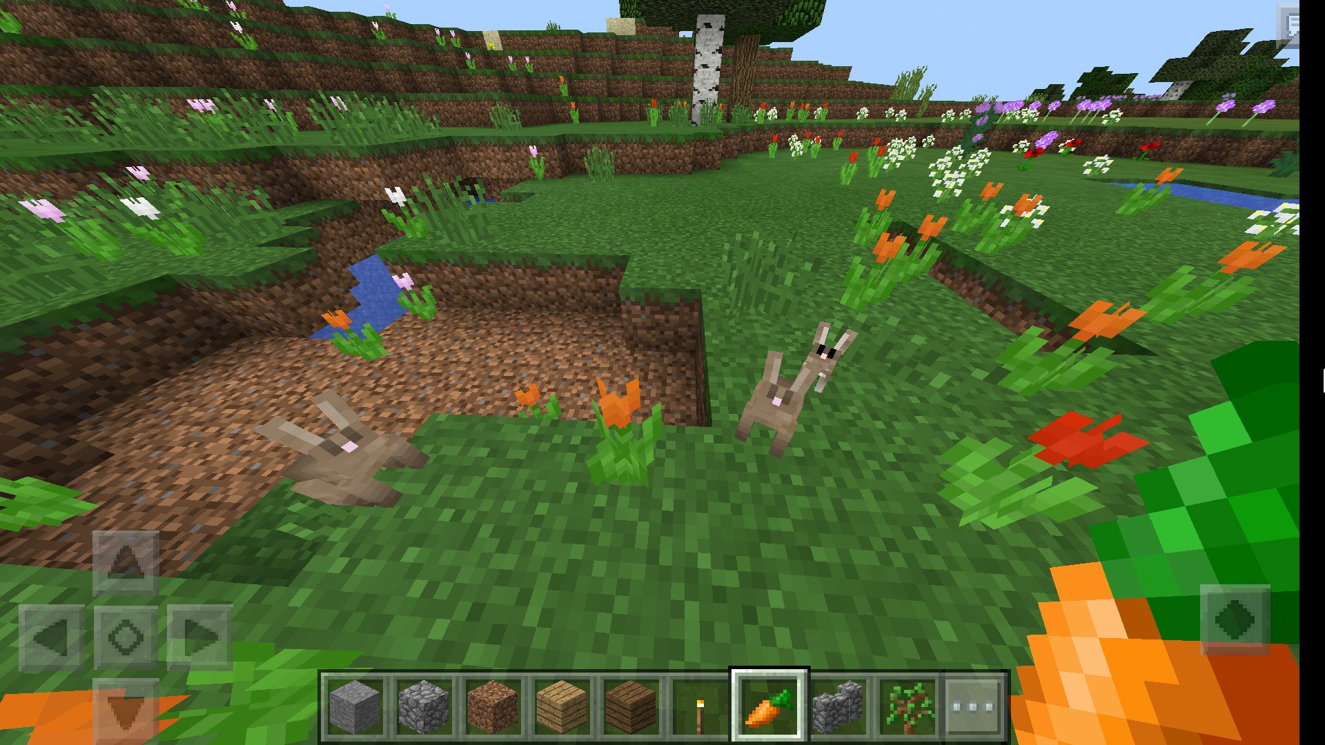 マイクラpe Seed値メモ Peseed Memo Twitter