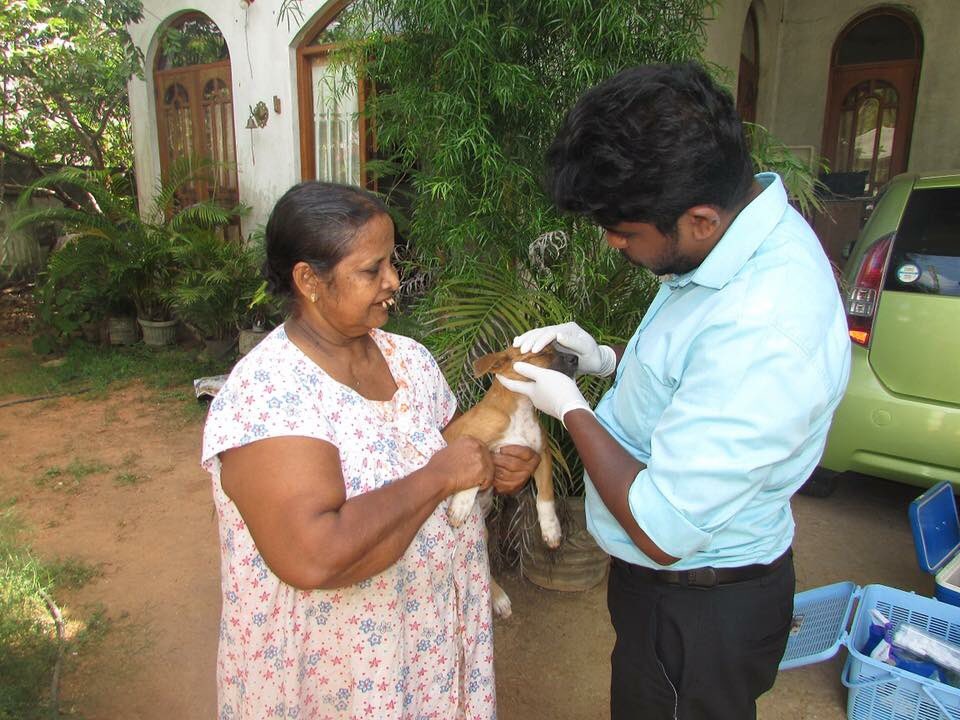 EmbarkLK's tweet photo. #Pashionable people and adorable pooches we met on our #Embark mobile visit 😊 https://t.co/VoeL82p3BY