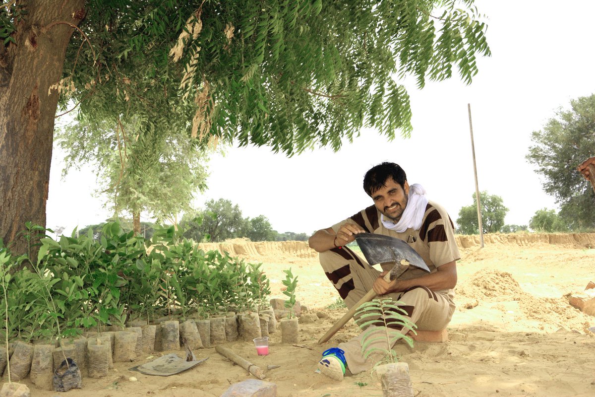 rameshchahal tweet picture