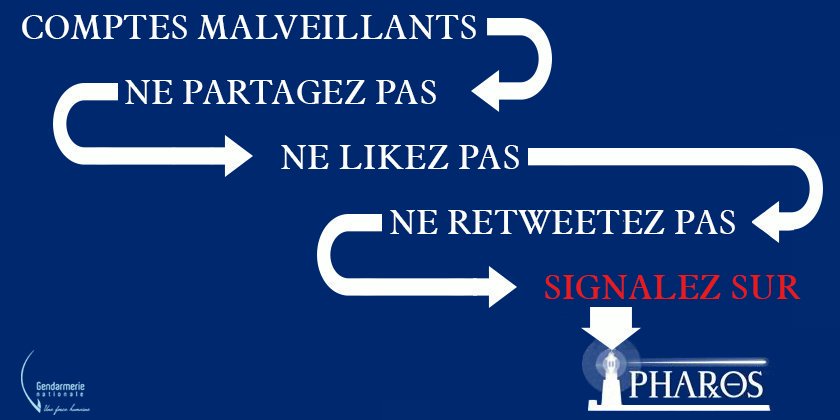 Castor DuNet tweet media